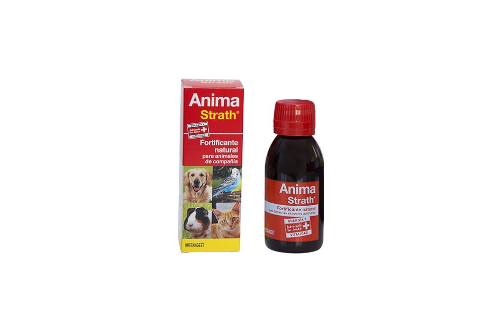 Anima-Strath – experiencias de una veterinaria