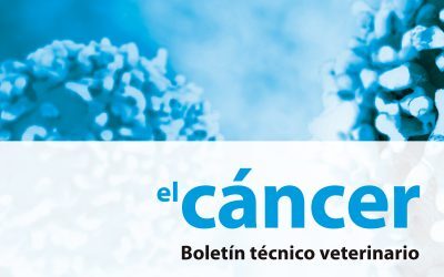 Protocolo y Boletín técnico del cáncer