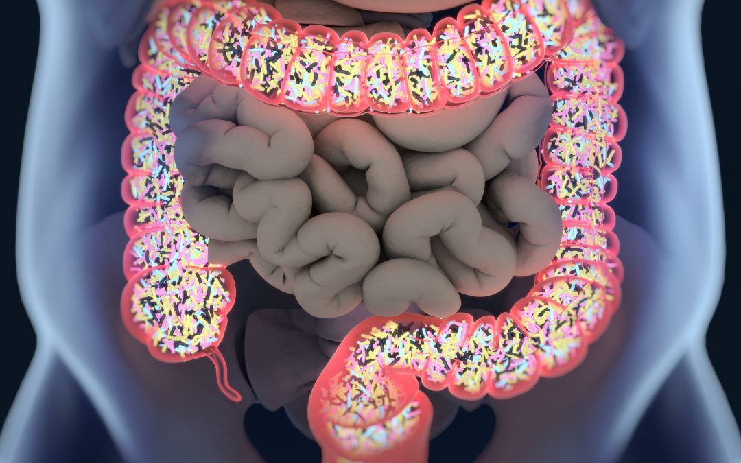 Medicamentos comunes pueden afectar nuestras bacterias intestinales