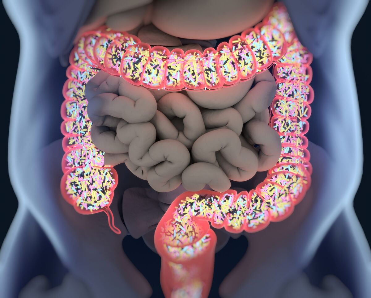 Medicamentos comunes pueden afectar nuestras bacterias intestinales
