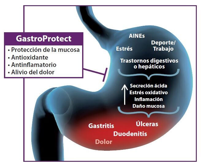Gastroprotect