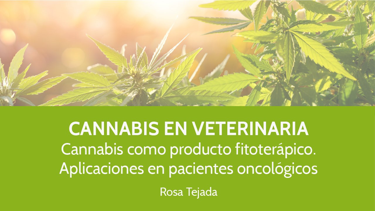Cannabis en Veterinaria – Rosa Tejada (Webinar)