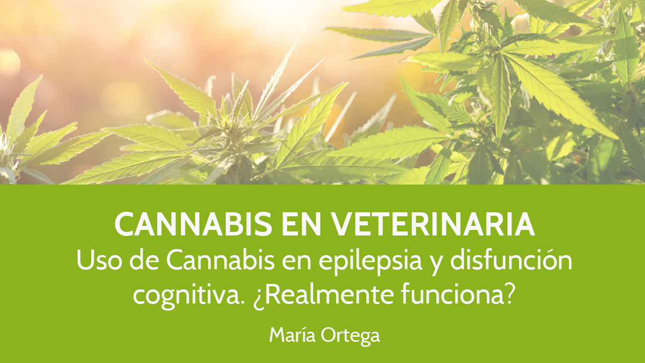 Cannabis en Veterinaria – María Ortega (Webinar)