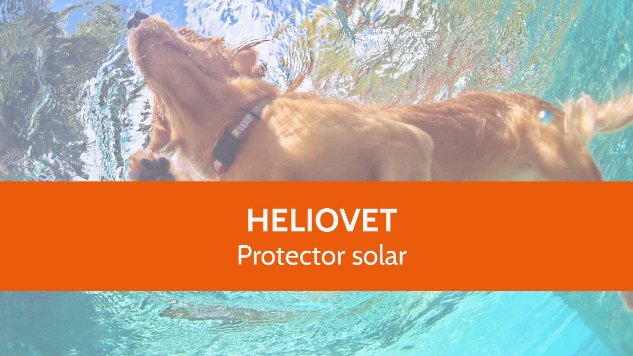 HelioVet – Por una vida saludable al sol (Vídeo)