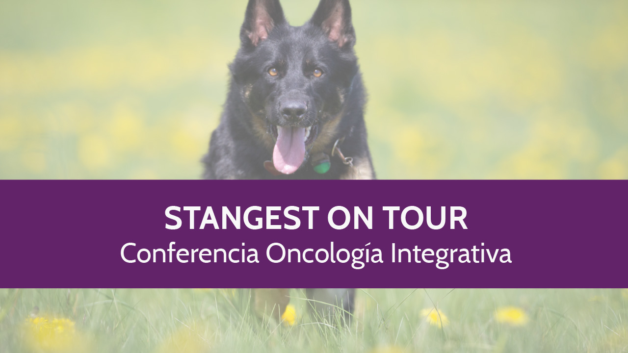 Stangest on Tour – Conferencias Oncología Integrativa (Vídeo)