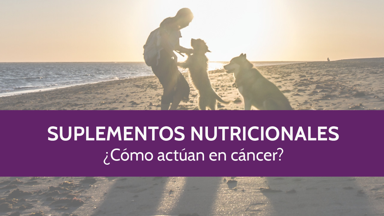 ¿Cómo actúan los suplementos nutricionales en cáncer? (Vídeo)