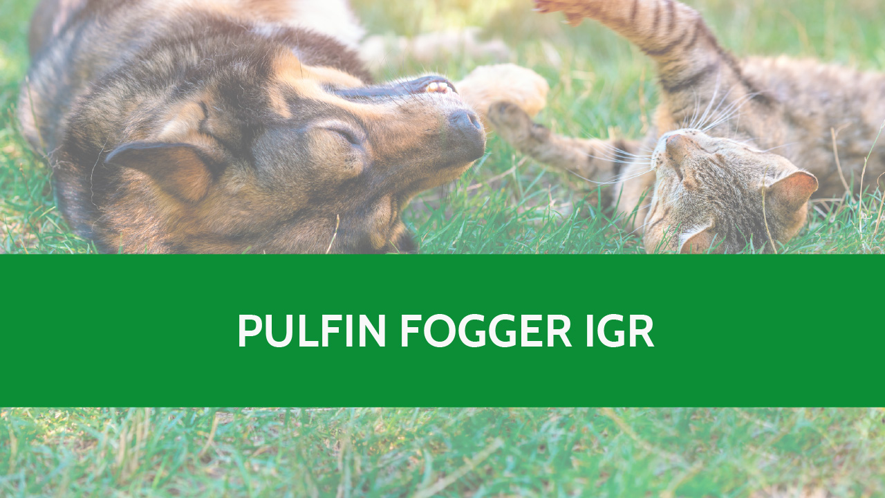 Pulfin Fogger IGR – Insecticida ambiental (Vídeo)