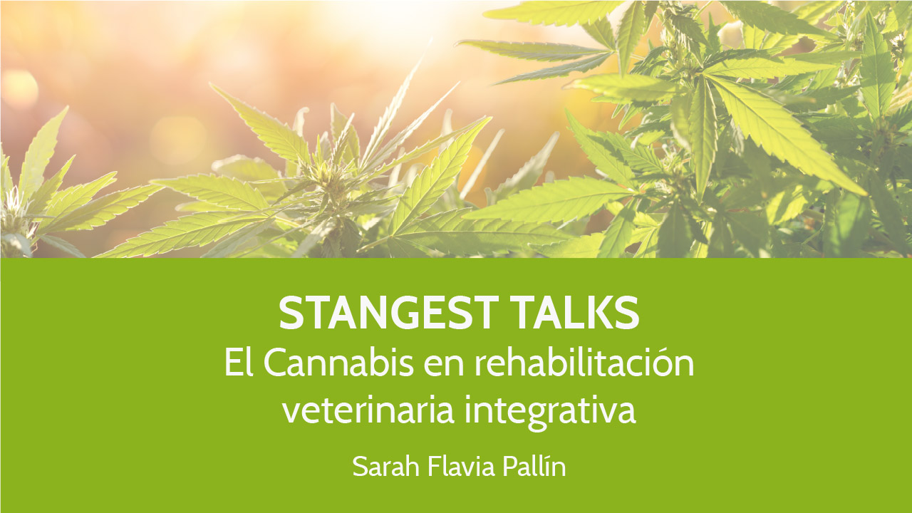 Stangest Talks – Cannabis en rehabilitación veterinaria