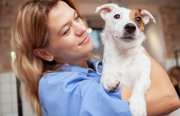 Consejos para el manejo respetuoso de perros y gatos en la clínica (I)