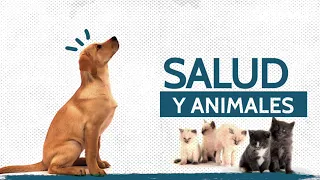 Ejemplo: Episodio 1 – Consejos Esenciales para el Cuidado Preventivo de Perros y Gatos